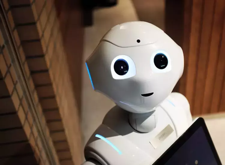 Chatbot/ML/AI Development Chatbot/ML/AI Development